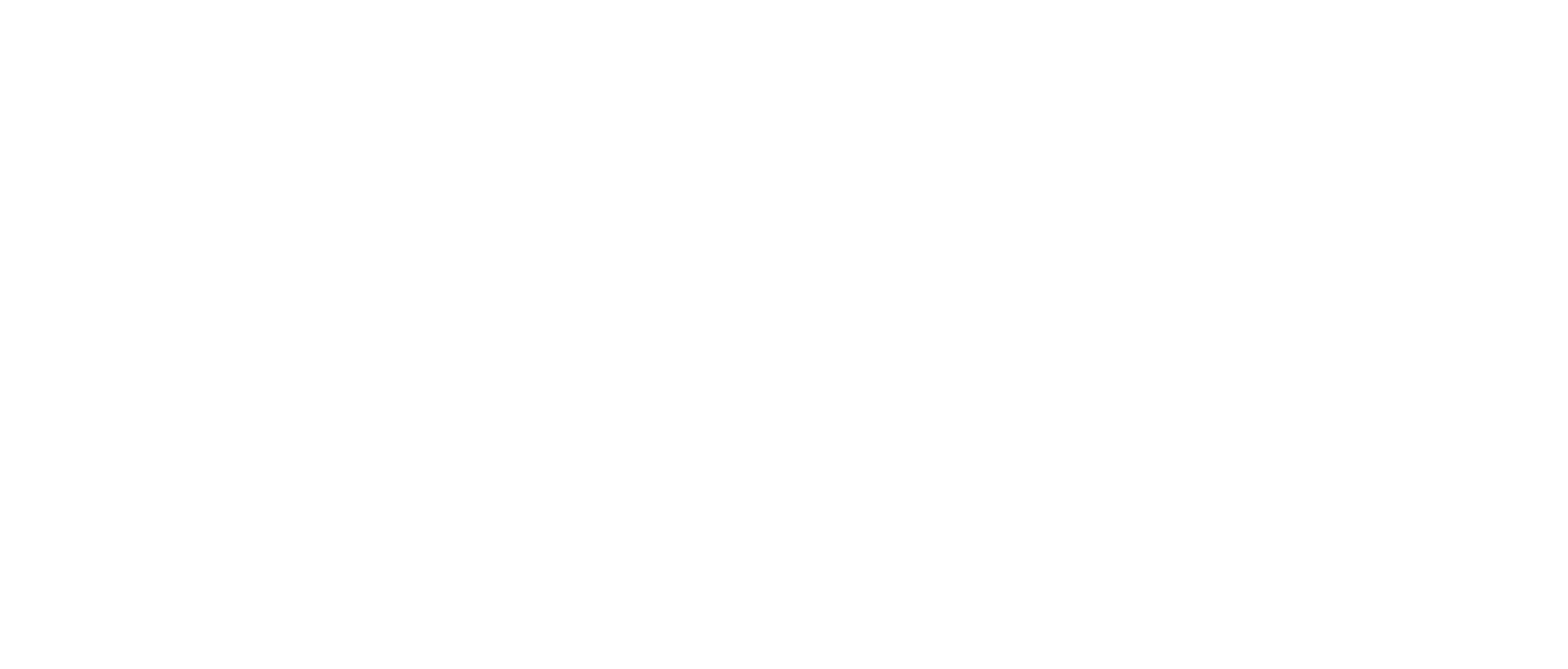 Cloud Cuckoo Logo